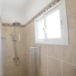 فيلة Costa Gwiga *